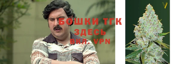 мдпв Нея