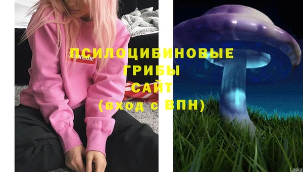 мдпв Нея