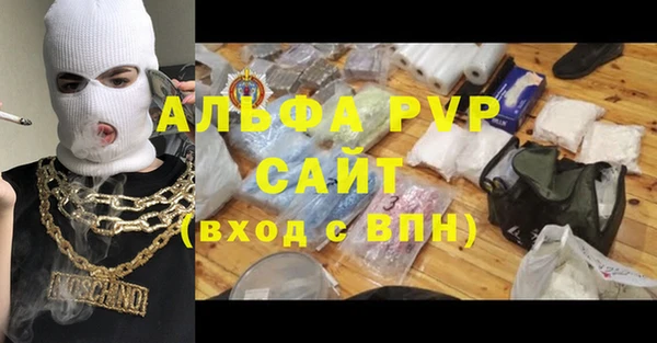 стаф Бородино