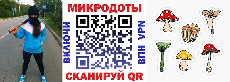как найти закладки  Нарткала  Галлюциногенные грибы Magic Shrooms 