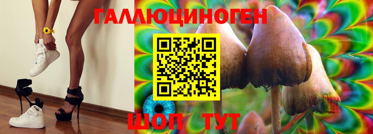 Псилоцибиновые грибы GOLDEN TEACHER  Вход с VPN  Нарткала 